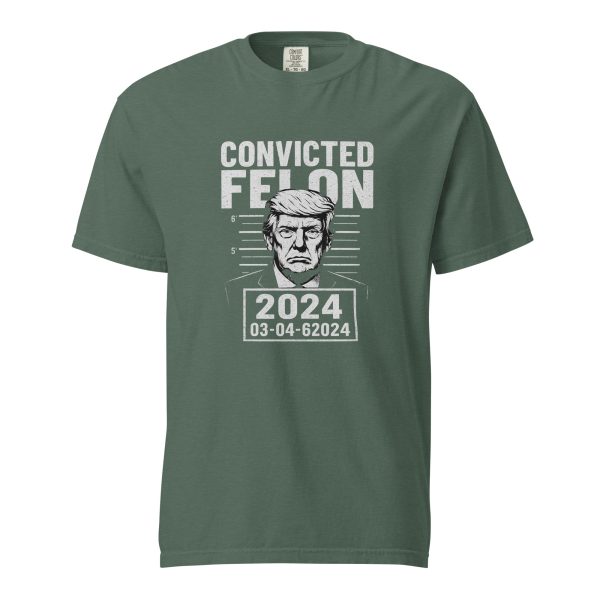 Convicted Felon - Unisex garment-dyed heavyweight t-shirt - Image 9
