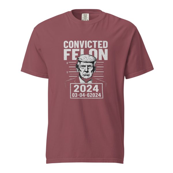 Convicted Felon - Unisex garment-dyed heavyweight t-shirt - Image 7