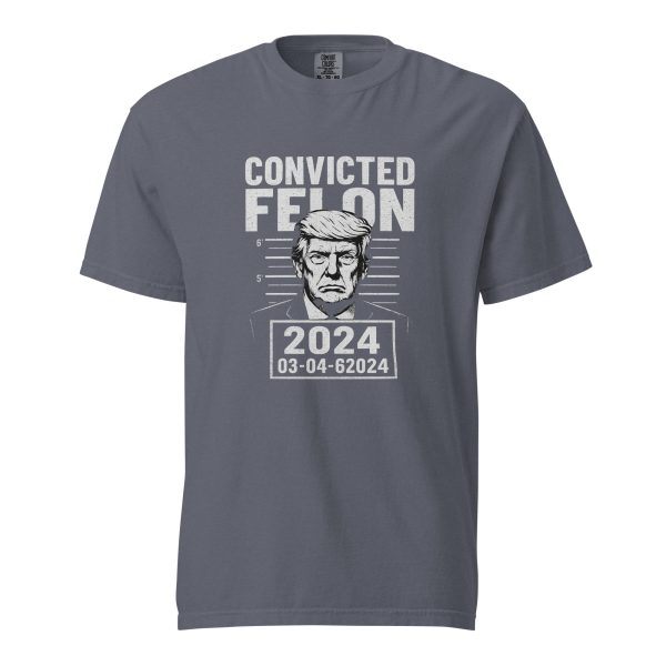 Convicted Felon - Unisex garment-dyed heavyweight t-shirt - Image 8