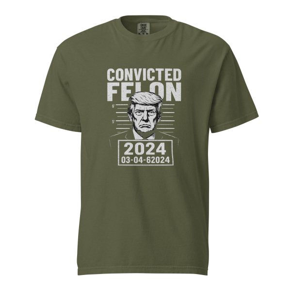 Convicted Felon - Unisex garment-dyed heavyweight t-shirt - Image 6