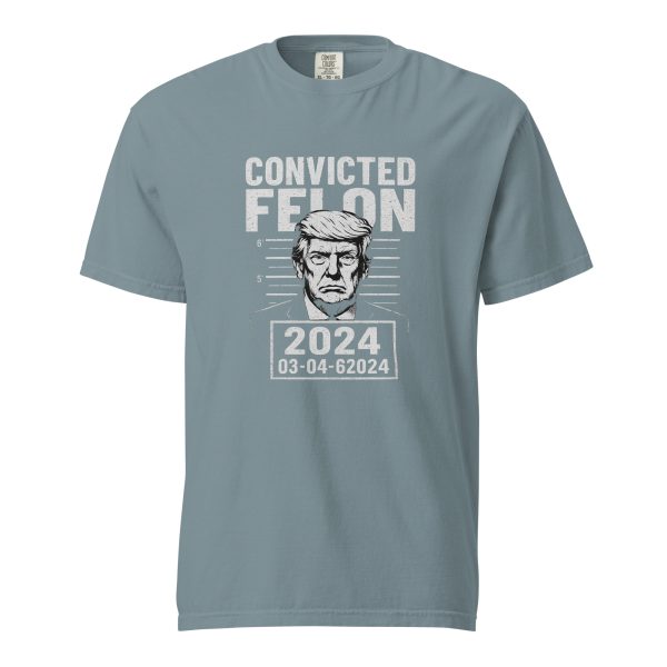 Convicted Felon - Unisex garment-dyed heavyweight t-shirt - Image 12