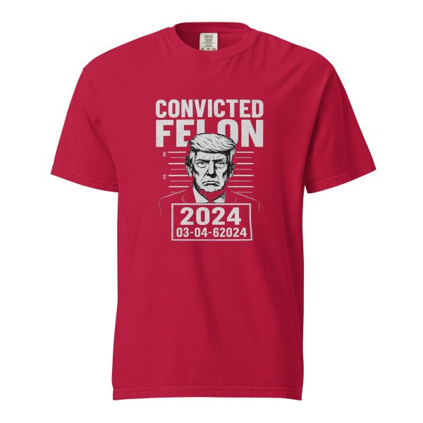 Convicted Felon - Unisex garment-dyed heavyweight t-shirt - Image 3