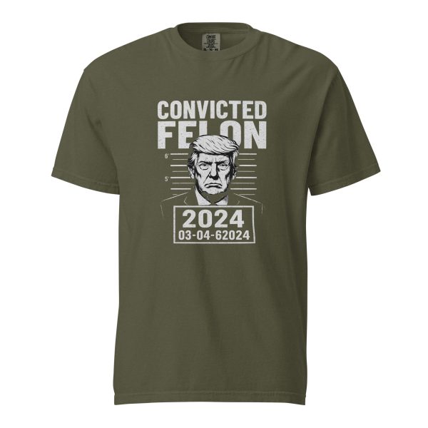 Convicted Felon - Unisex garment-dyed heavyweight t-shirt - Image 4