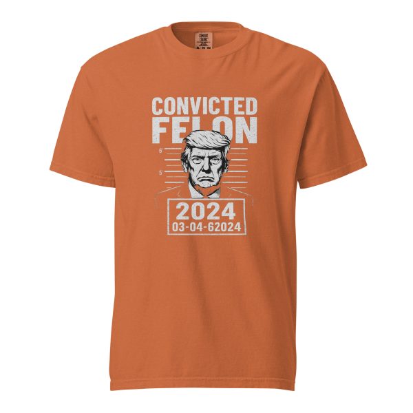 Convicted Felon - Unisex garment-dyed heavyweight t-shirt - Image 11